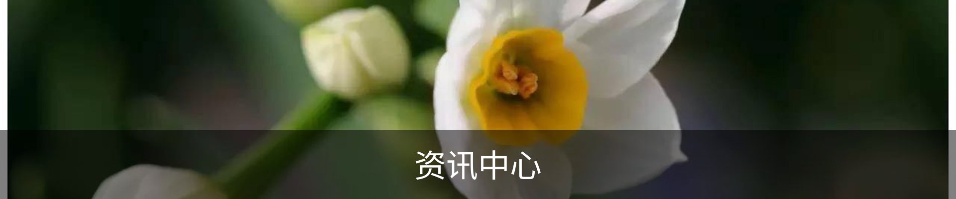 资讯中心